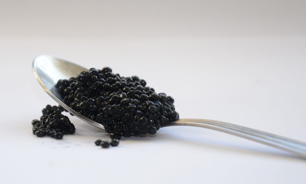 Récolte du caviar D'où vient le caviar — free download
